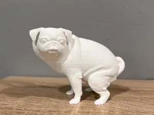 Pooping Pug Dog - Mops - Animal - Dog