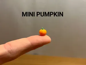 Mini Pumpkin