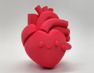 Anatomical Happy Heart