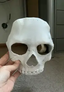 Ghost Mask (COD MWII 2022)