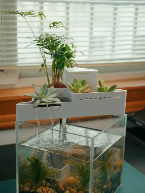 空中花园鱼缸顶滤，20cm方缸适用。 — Фото 2 из 4