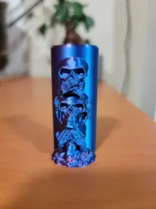 BIC The Three Skulls sleeve