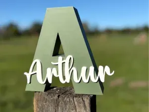 Decorative Name Sign - Customizable
