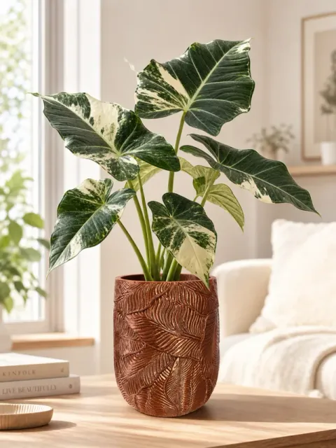 Leaf-shaped planter — Image 3 of 5