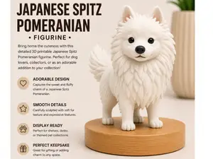 White Dog Puppy Japanese Spitz Fluffy Pomeranian
