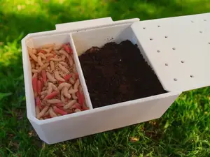 Fishing Bait Container for Maggot Hands-Free Box