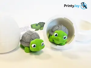 Ceres Turtle - Orbitails