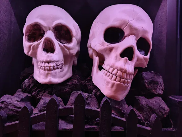 Red-Hot Skulls of Hell — Фото 2 из 2