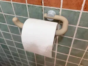 Toilet Paper Holder Minimal Modern 2-Part Print
