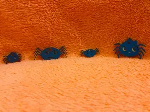 Cute Spooky Spider Family