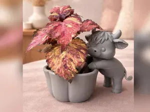 Highland Cow planter flower