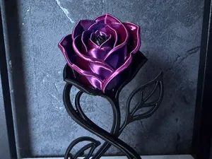 The Infinite Rose