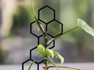 Modern Hexagon Plant Trellis