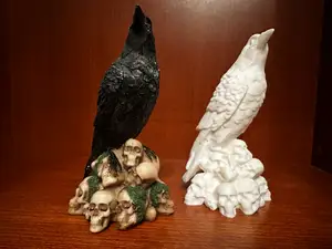 Raven on skull pile