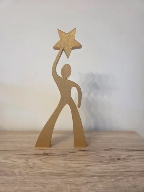 Icone star academy — Image 2 of 3
