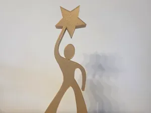 Icone star academy