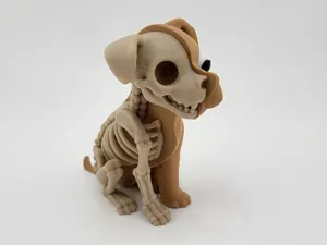 Half Skeleton dog Figure puppy