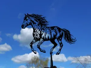 Forest Horse 2D Wall Art