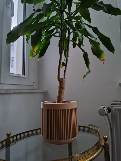 Big Planter with invisible drainer — Фото 3 из 13