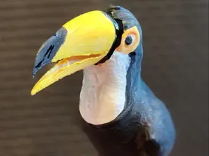 Toucan