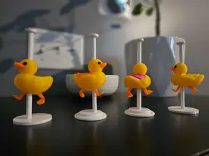 Carousel Duck | Multiple Configurations