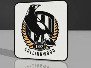 Collingwood Magpies bar/man cave light
