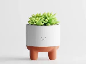 Plant Pot "Melo" – A Happy Home for Your Plants