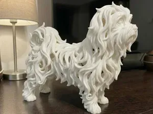 Maltese - "The Elegant Cloud"