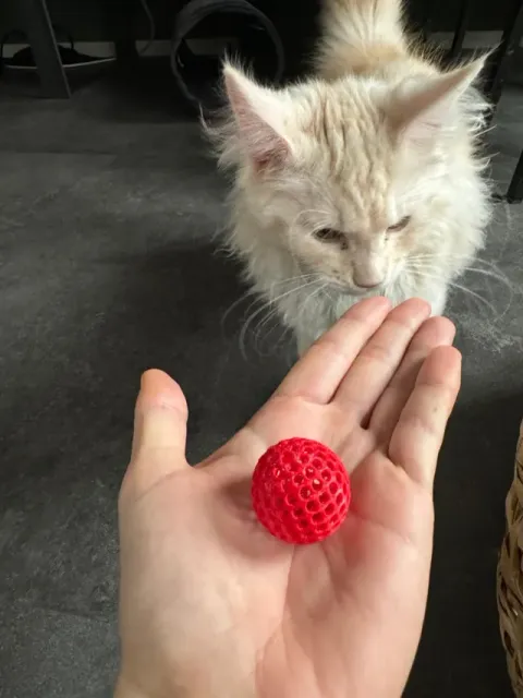 Cat Fidget Toy - Mini Ball edition — Image 4 of 7