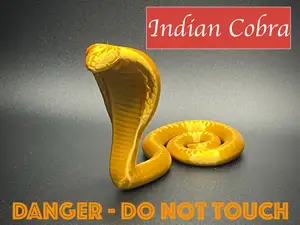 Indian Cobra