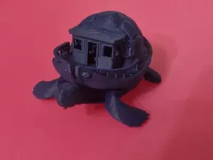 barca tartaruga