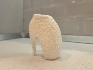 Armadillo Shoes