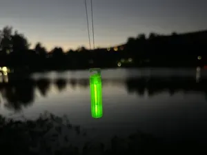 Bite Indicator
