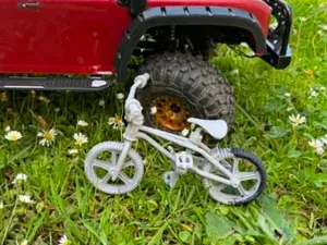 BMX bike 1:10 RC Traxxas TRX 4