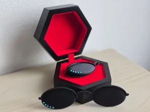 Horse Miraculous Glasses