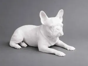 Lying French Bulldog - Dog - Animal