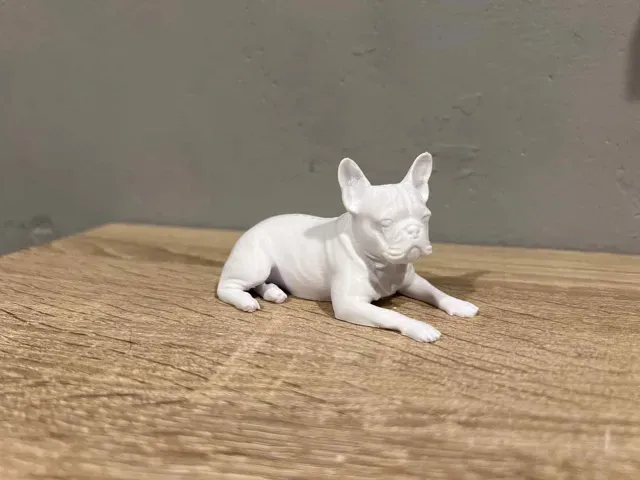Lying French Bulldog - Dog - Animal — Фото 5 из 5