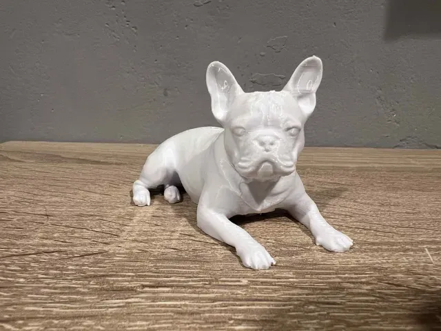 Lying French Bulldog - Dog - Animal — Фото 4 из 5