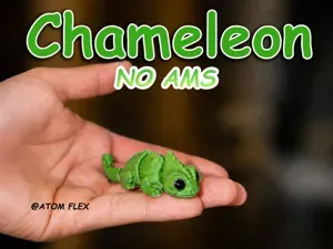 Paskal the Flexi Chameleon