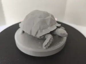 TURTLE model on the pedestal