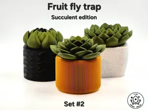 Succulent Fruit Fly Trap - Set #2