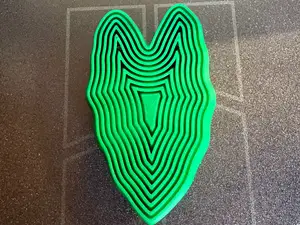 Alocasia Fidget
