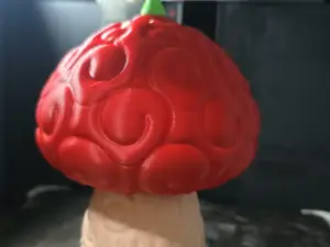 Hito Hito no Mi Chopper’s Devil Fruit - One Piece