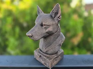 AUSTRALIAN CATTLE DOG BUST