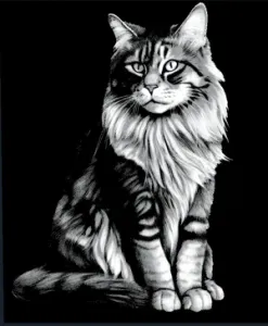 Hueforge Mainecoon Cat in Black White Photography | Animal 3D Wall Art Decorations Portrait