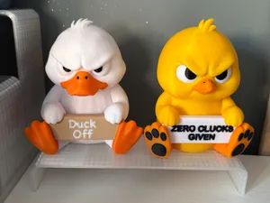 Cute But Grumpy Chick