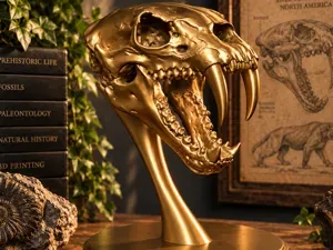 Smilodon Skull Bust – Sabertooth Tiger Display