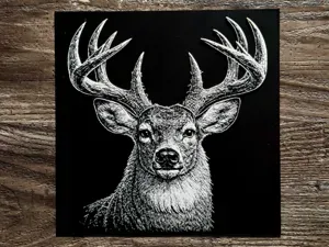 Whitetail Deer HueForge Wildlife Series