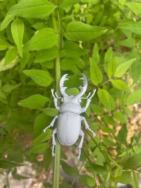 Stag Beetle - Flat Bottom Wall Decor — Фото 3 из 5