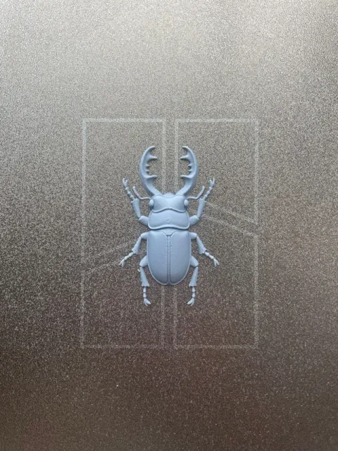 Stag Beetle - Flat Bottom Wall Decor — Фото 4 из 5